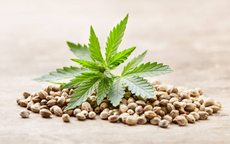 CBD